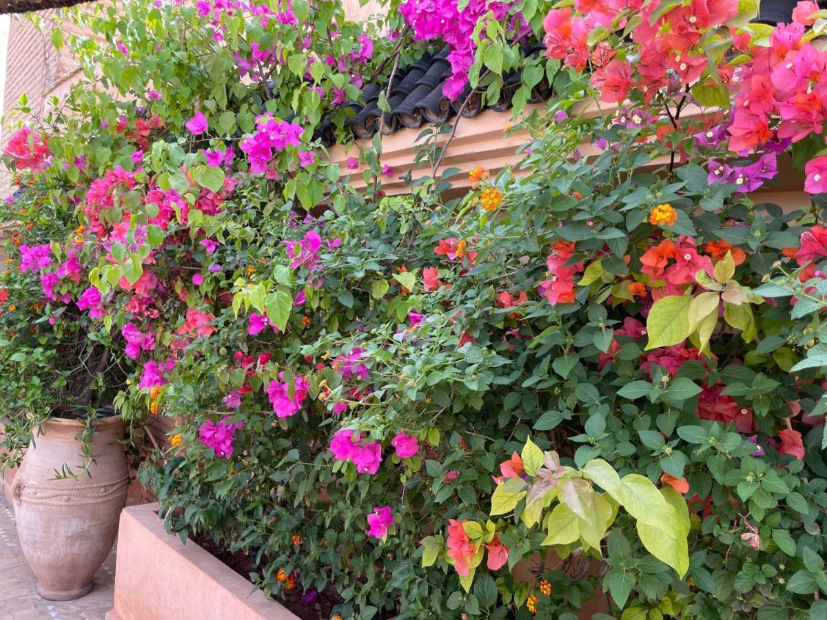 מרקש Riad Zouhour מראה חיצוני תמונה