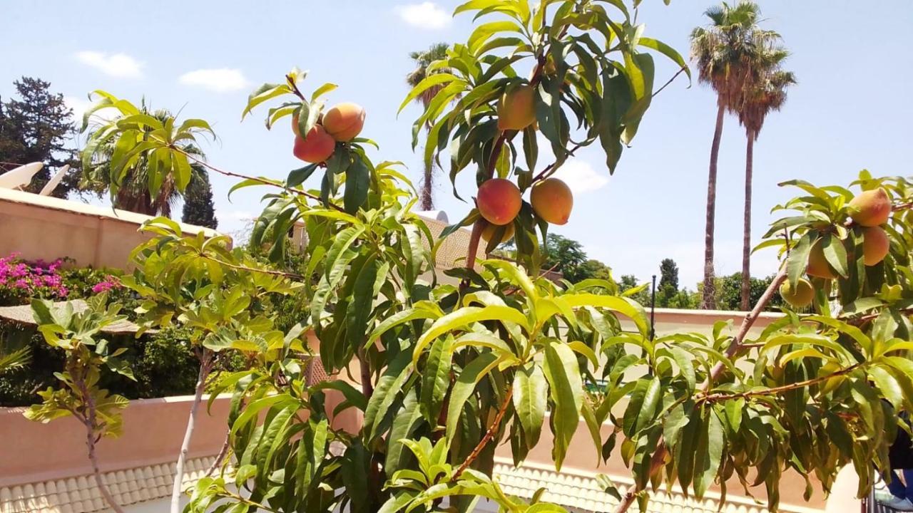 מרקש Riad Zouhour מראה חיצוני תמונה