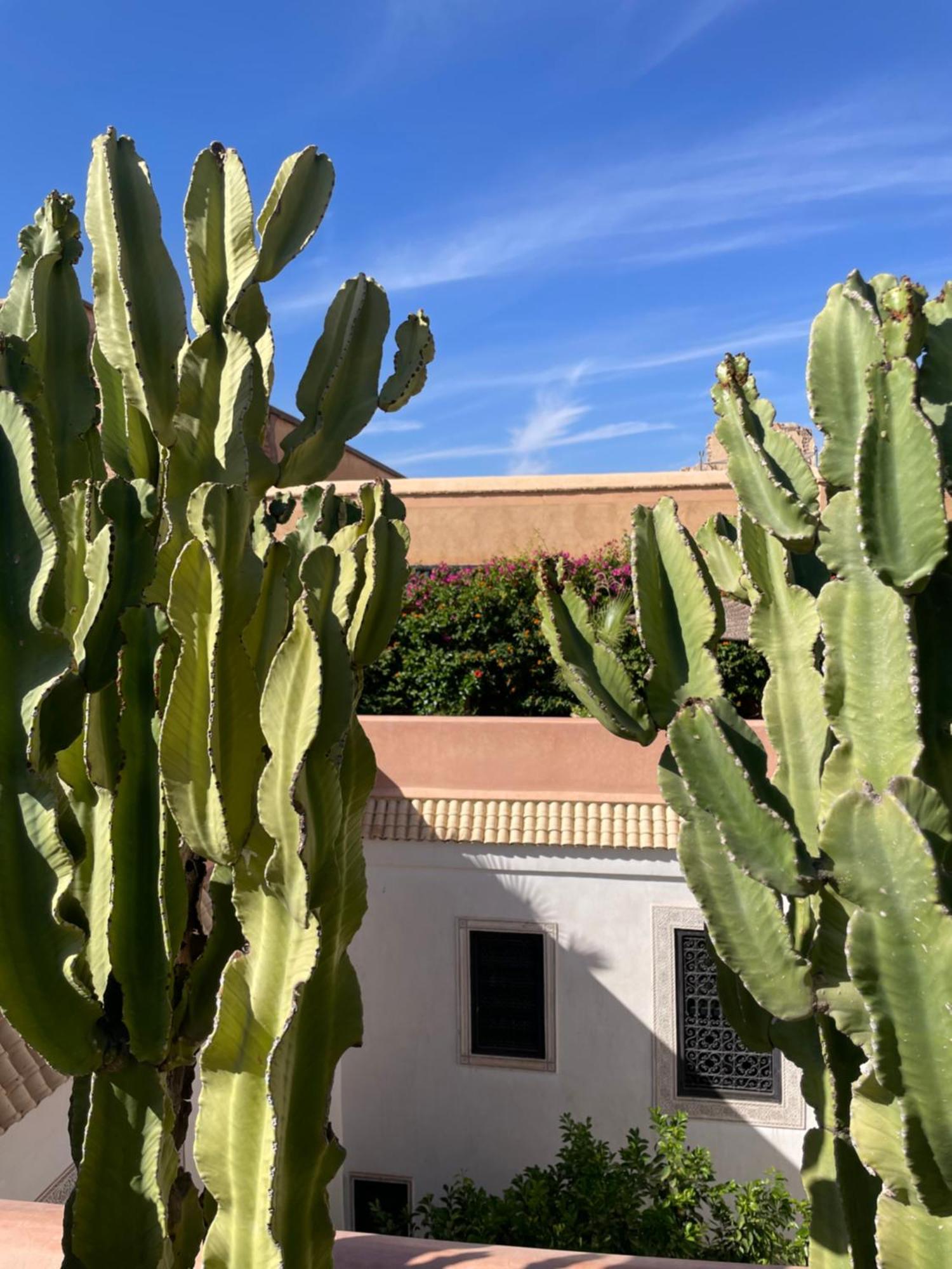 מרקש Riad Zouhour מראה חיצוני תמונה