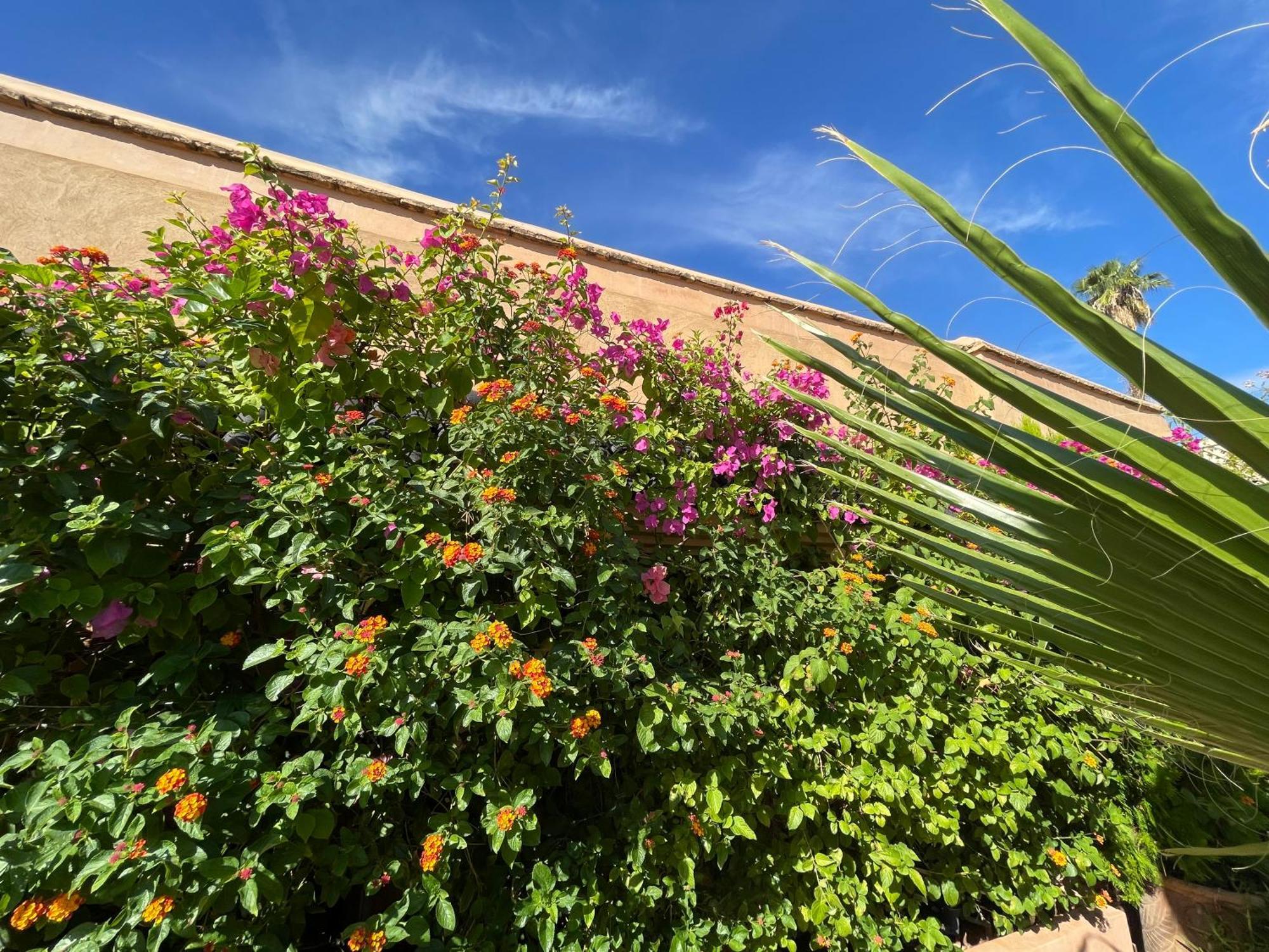 מרקש Riad Zouhour מראה חיצוני תמונה